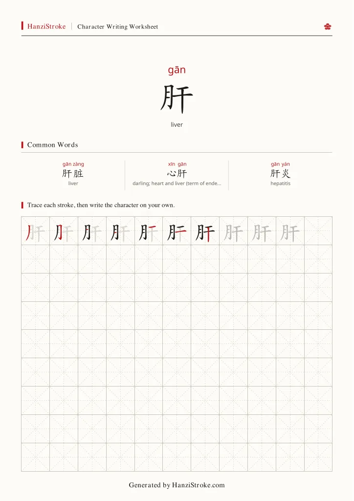 肝 handwriting practice worksheet preview