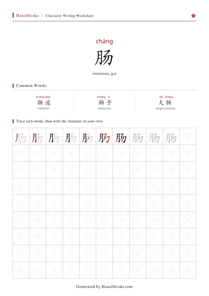 肠 handwriting practice worksheet preview