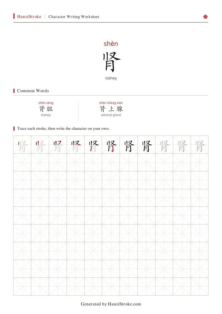 肾 handwriting practice worksheet preview