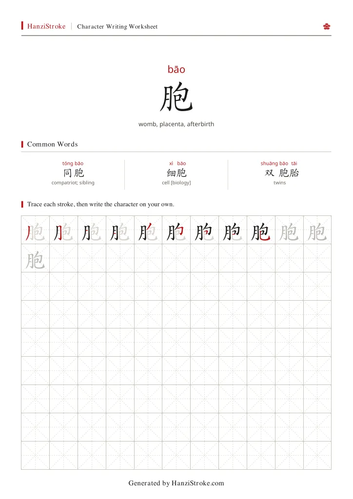 胞 handwriting practice worksheet preview