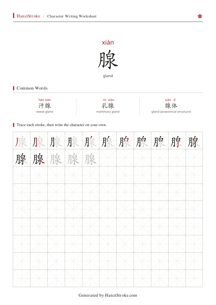 腺 handwriting practice worksheet preview