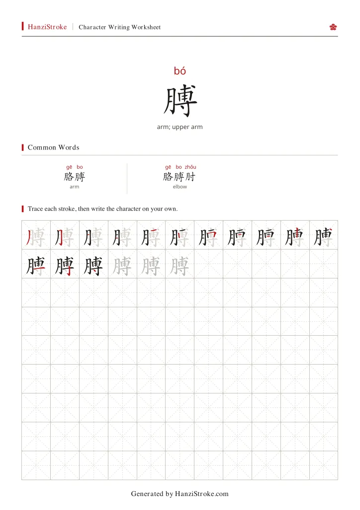 膊 handwriting practice worksheet preview