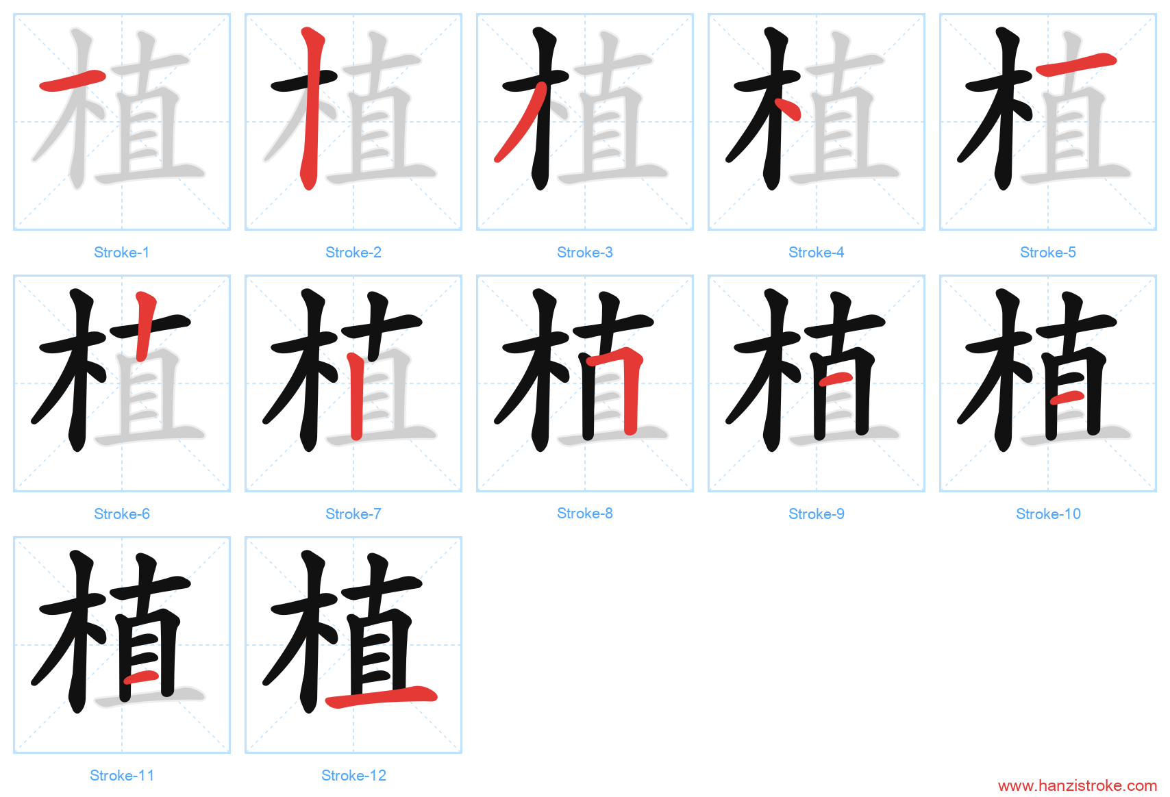 植 stroke order diagram