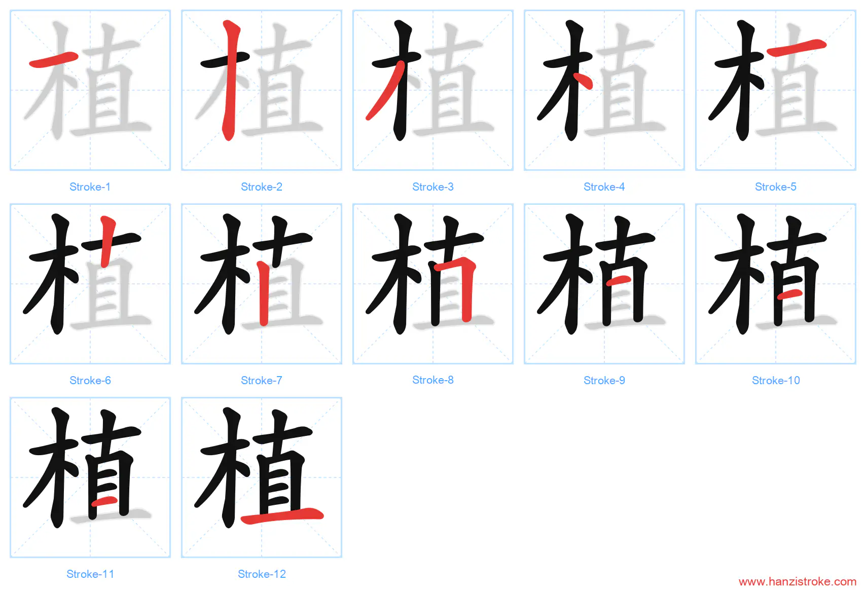 植 stroke order diagram