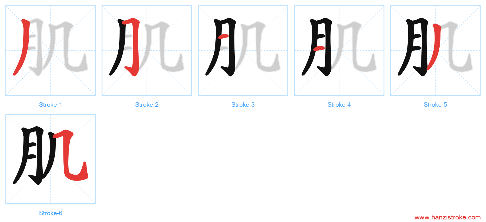 肌 stroke order diagram