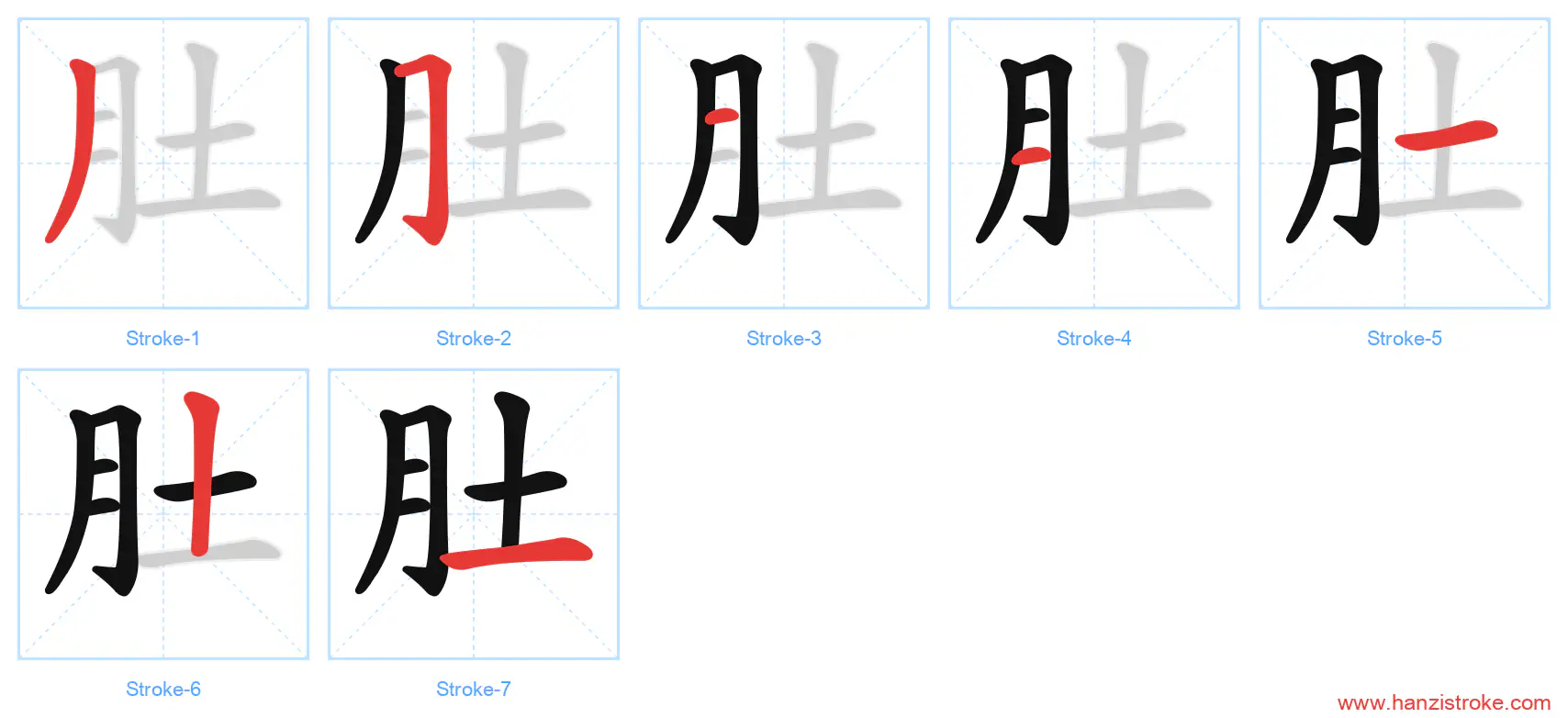肚 stroke order diagram