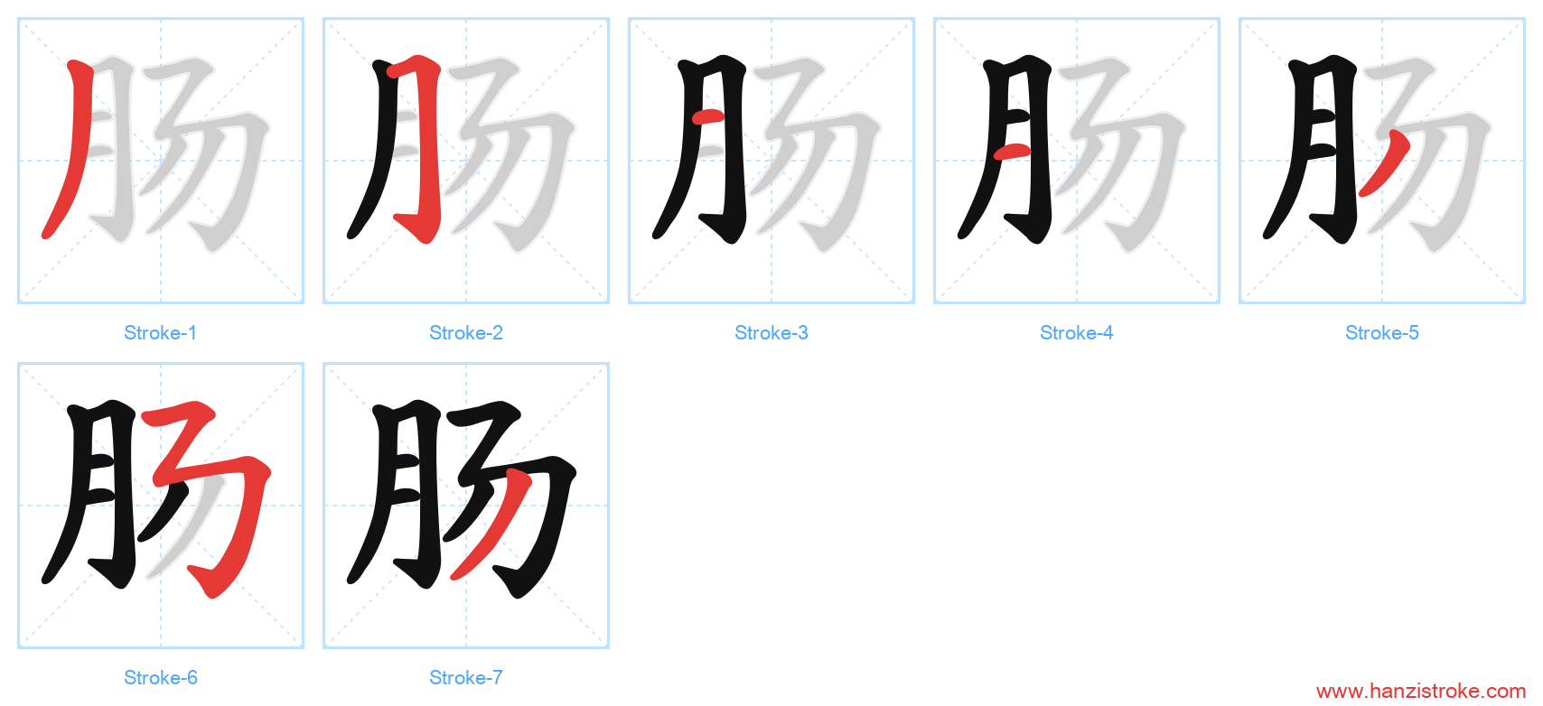 肠 stroke order diagram