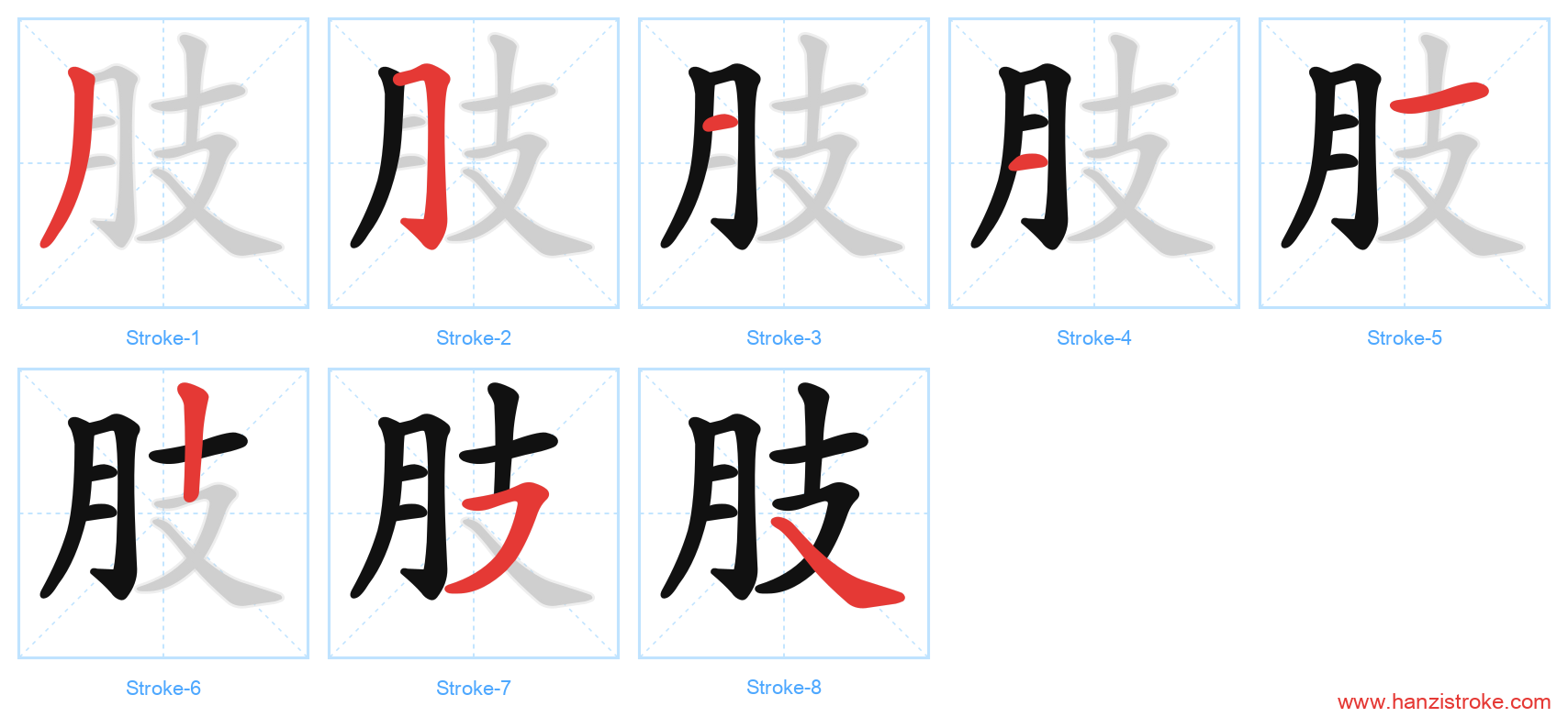 肢 stroke order diagram
