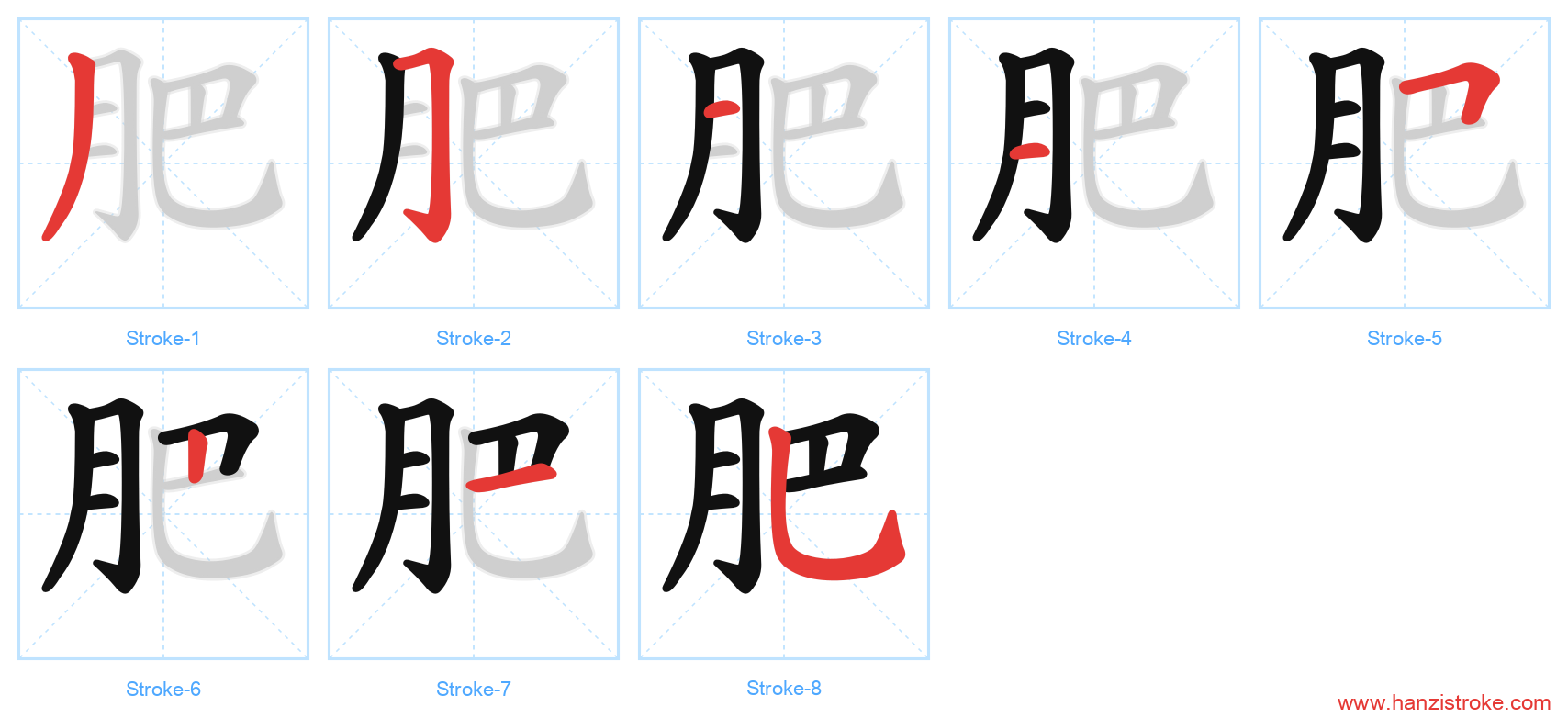 肥 stroke order diagram