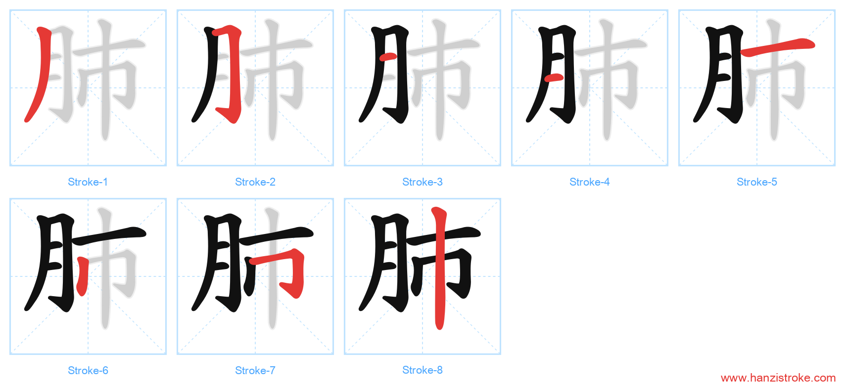 肺 stroke order diagram