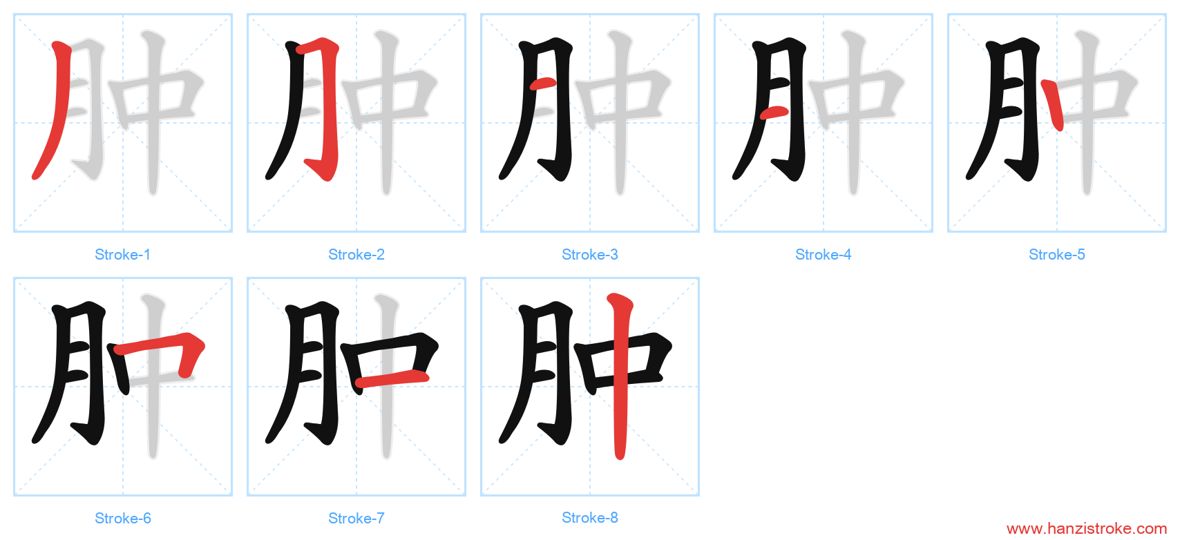 肿 stroke order diagram