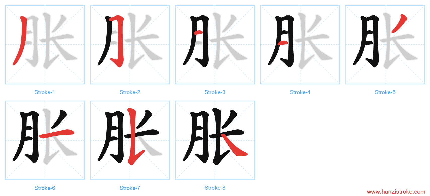胀 stroke order diagram