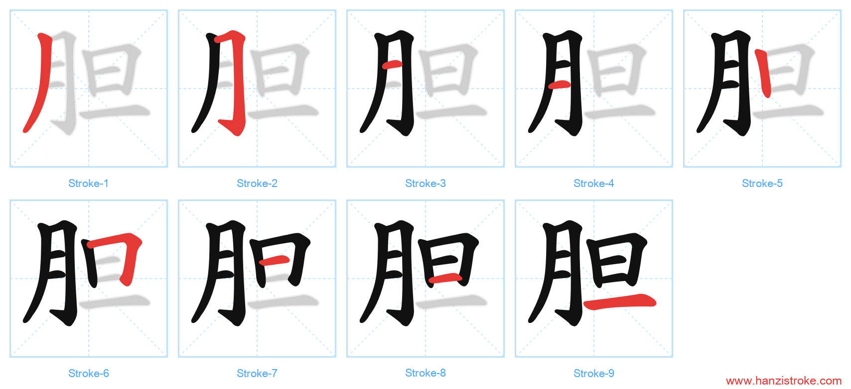 胆 stroke order diagram