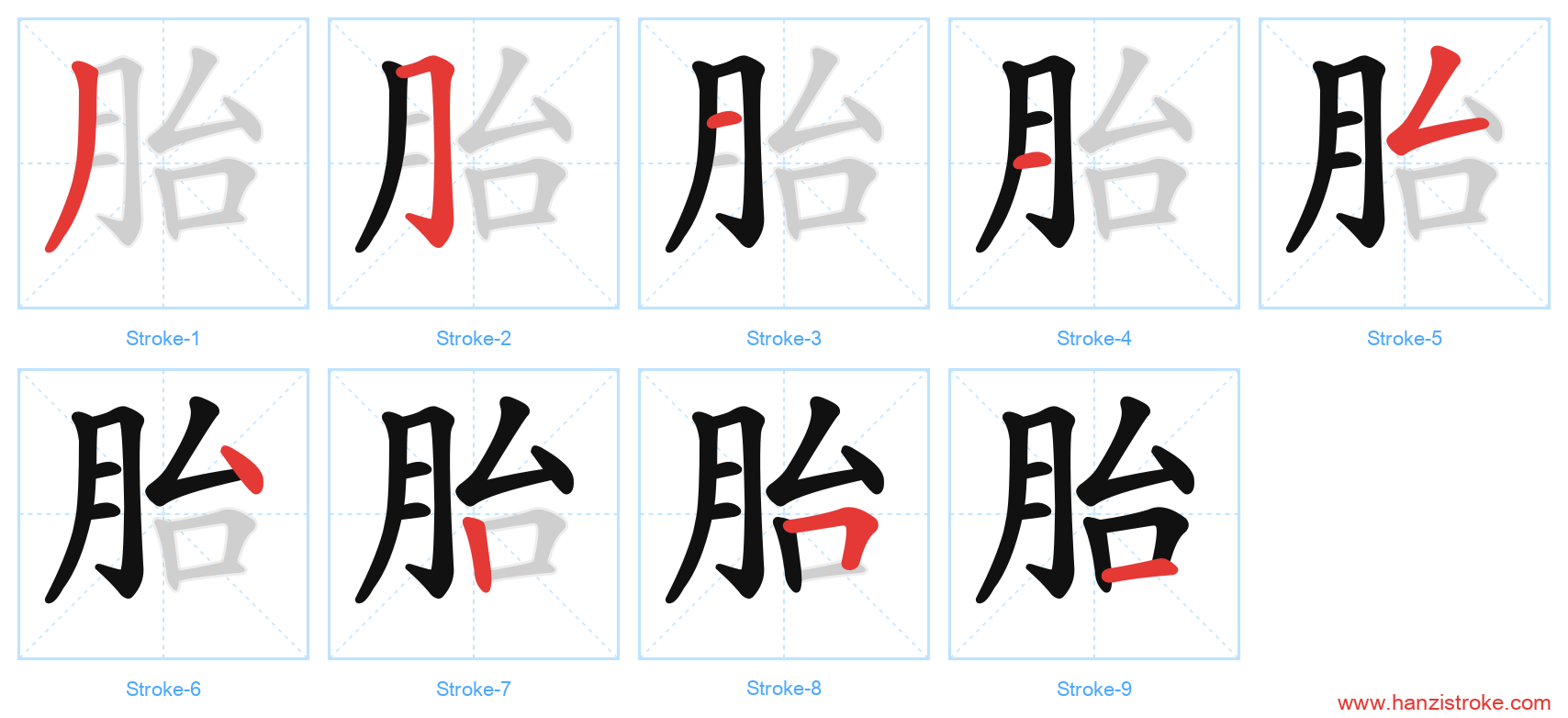 胎 stroke order diagram