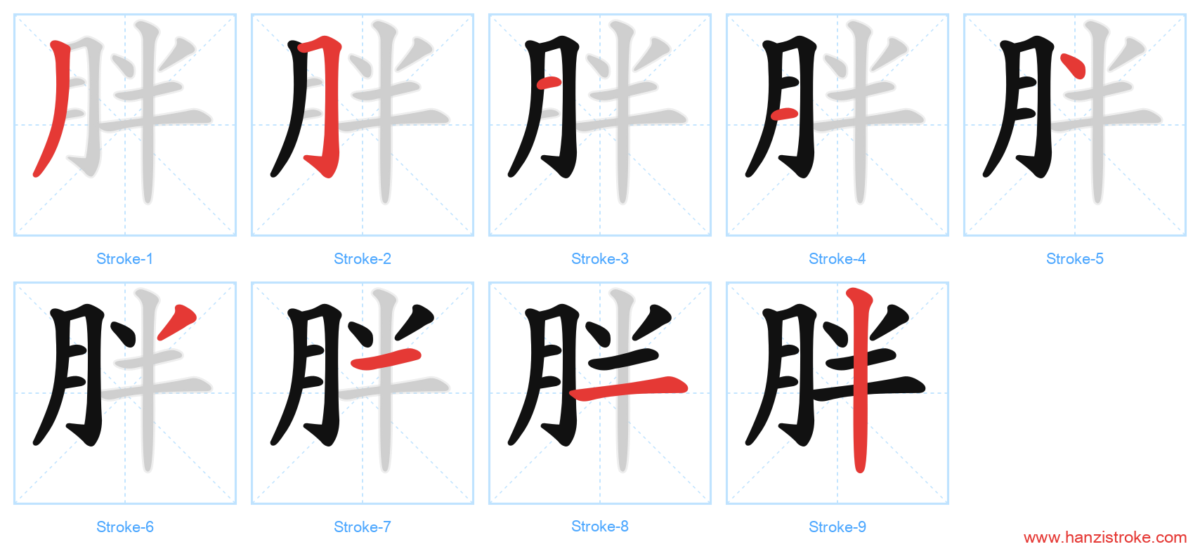 胖 stroke order diagram