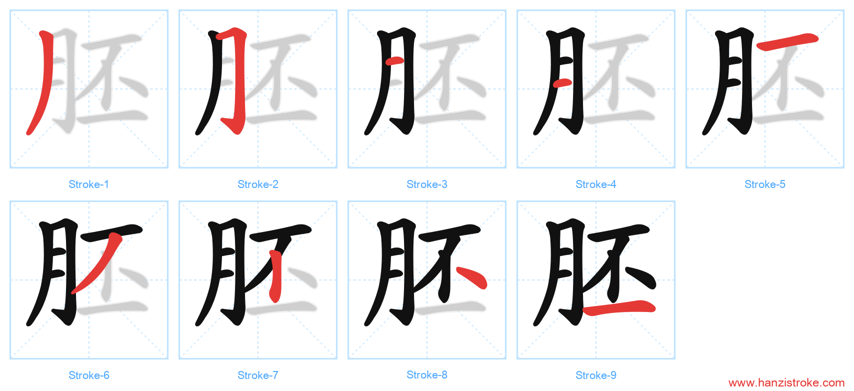 胚 stroke order diagram