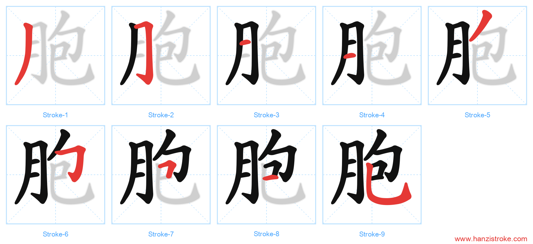 胞 stroke order diagram