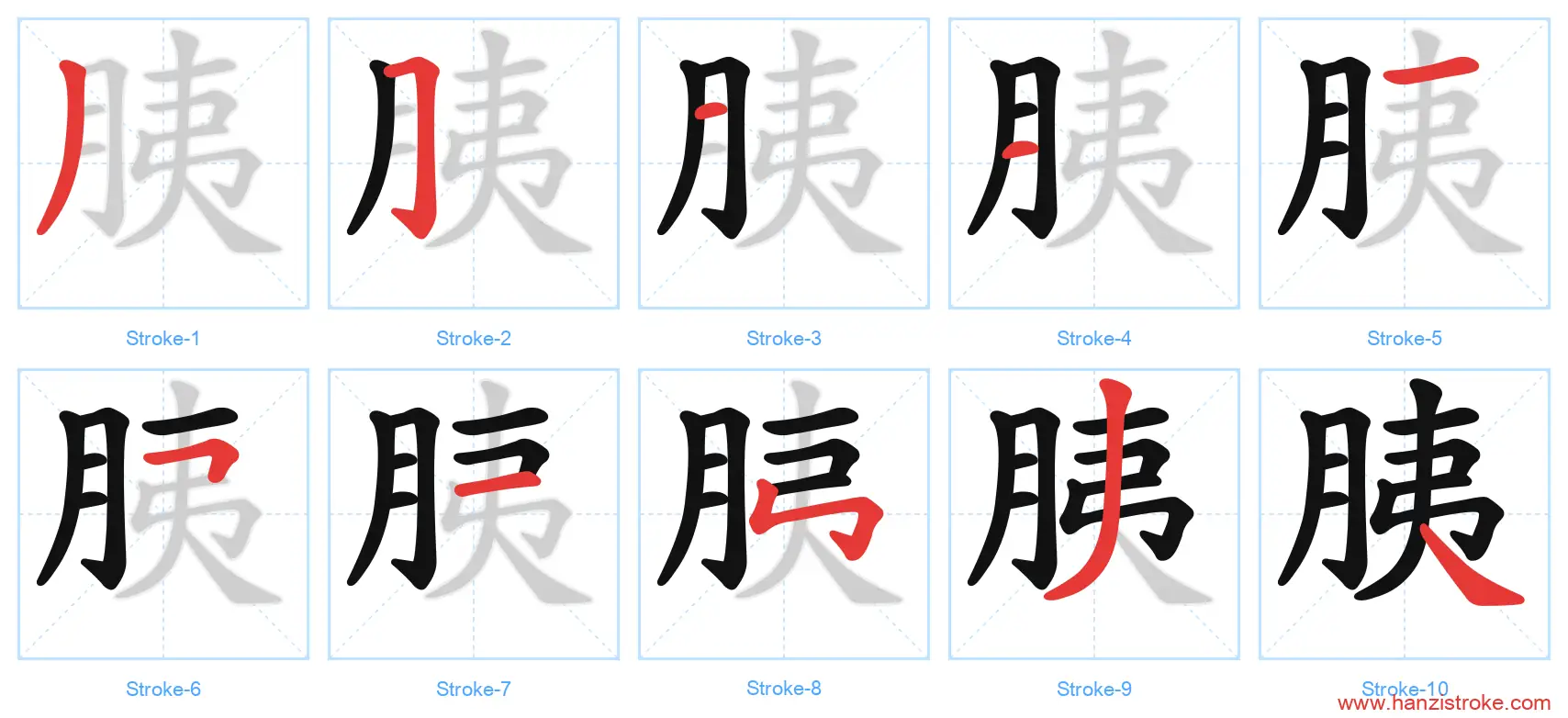 胰 Chinese Character: Stroke Order, Pinyin & Meaning