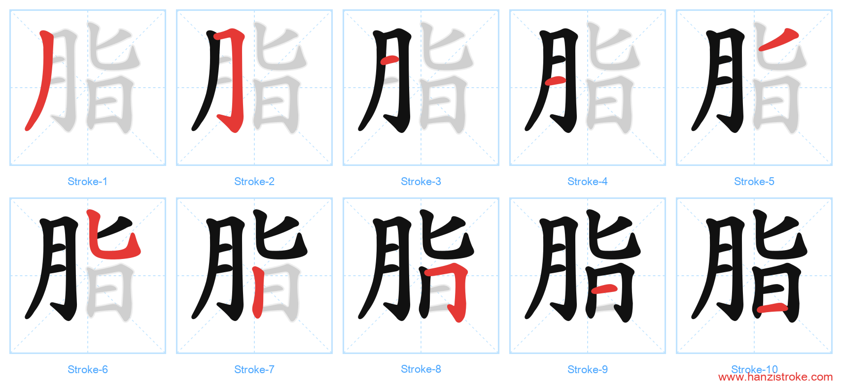 脂 stroke order diagram