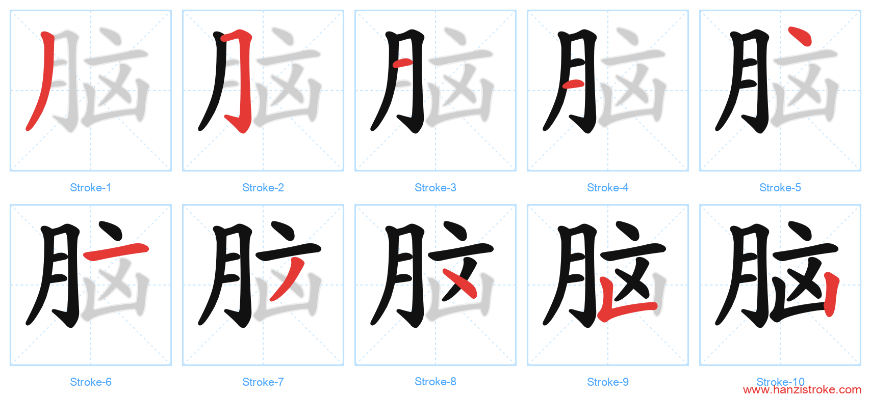 脑 stroke order diagram