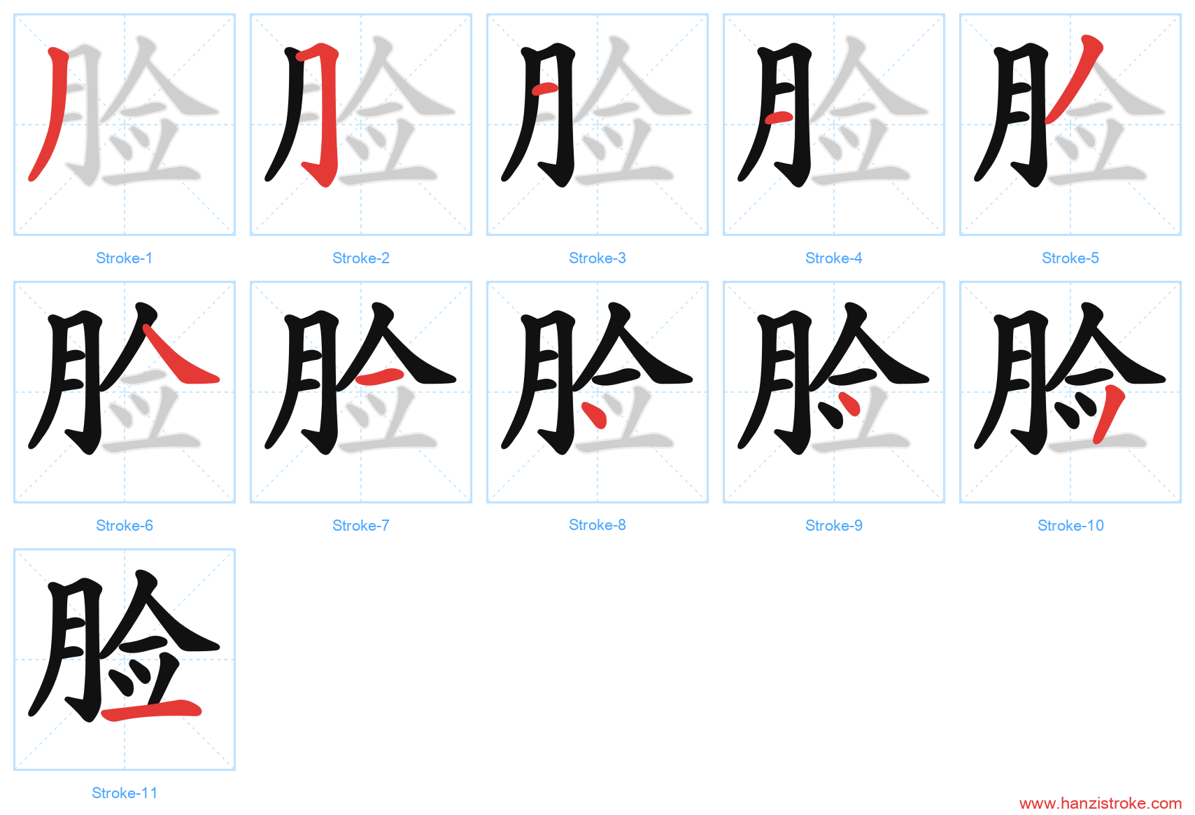 脸 stroke order diagram