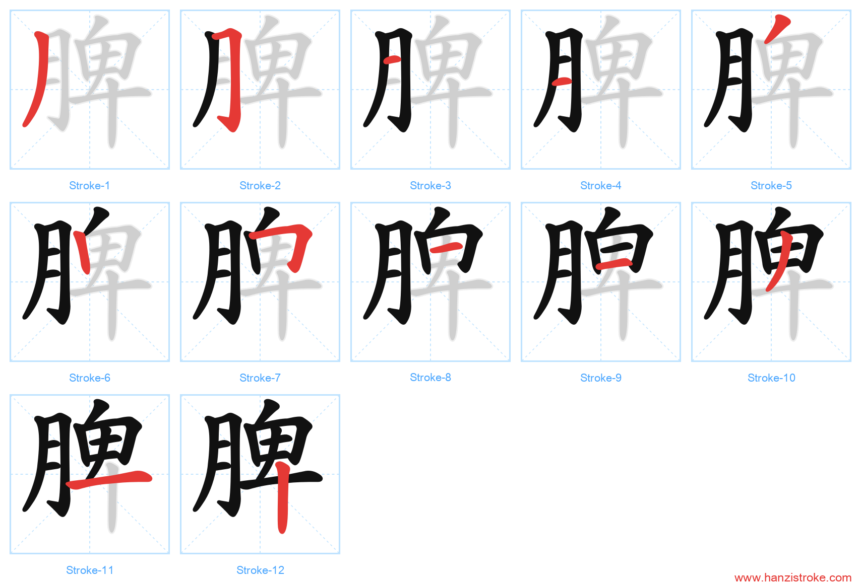脾 stroke order diagram