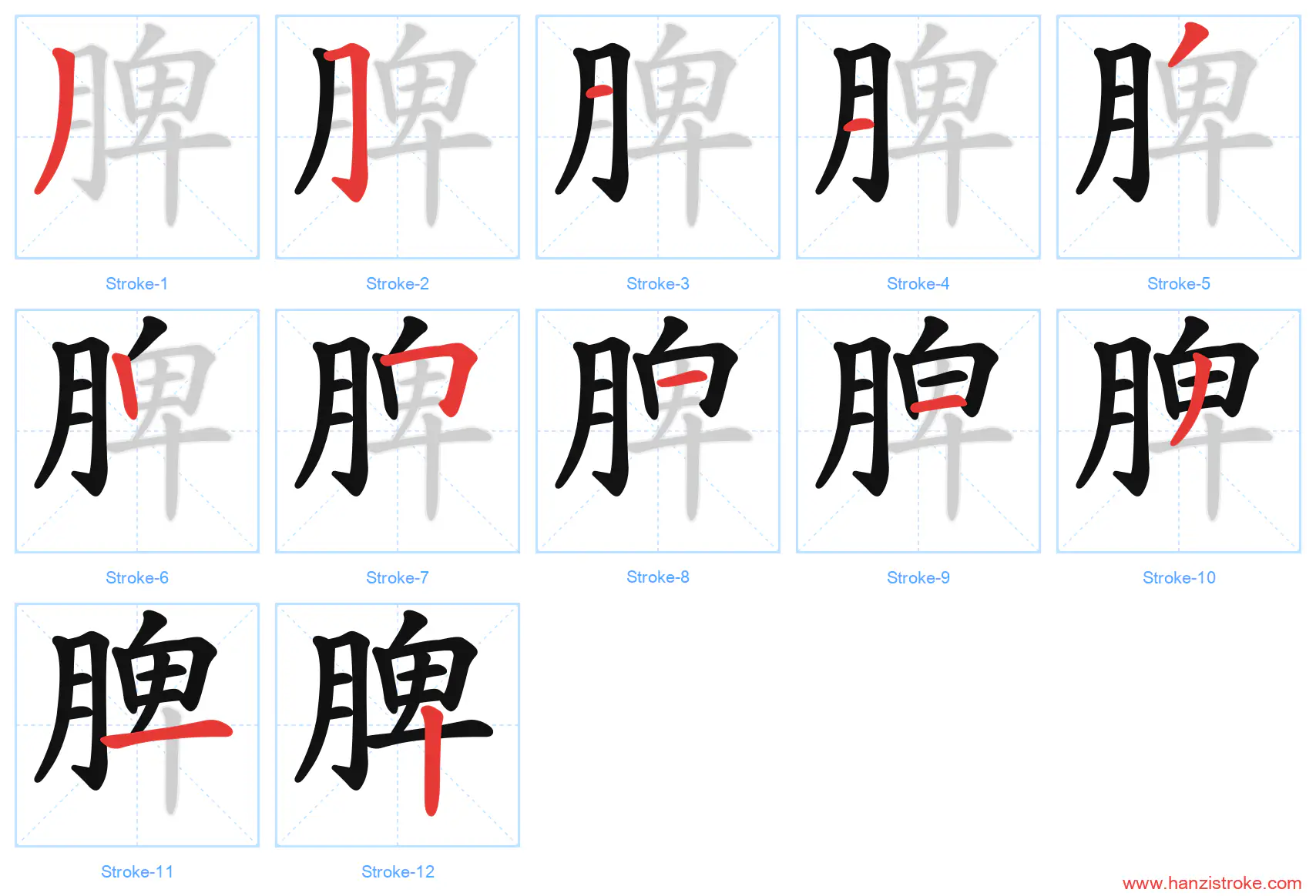 脾 stroke order diagram