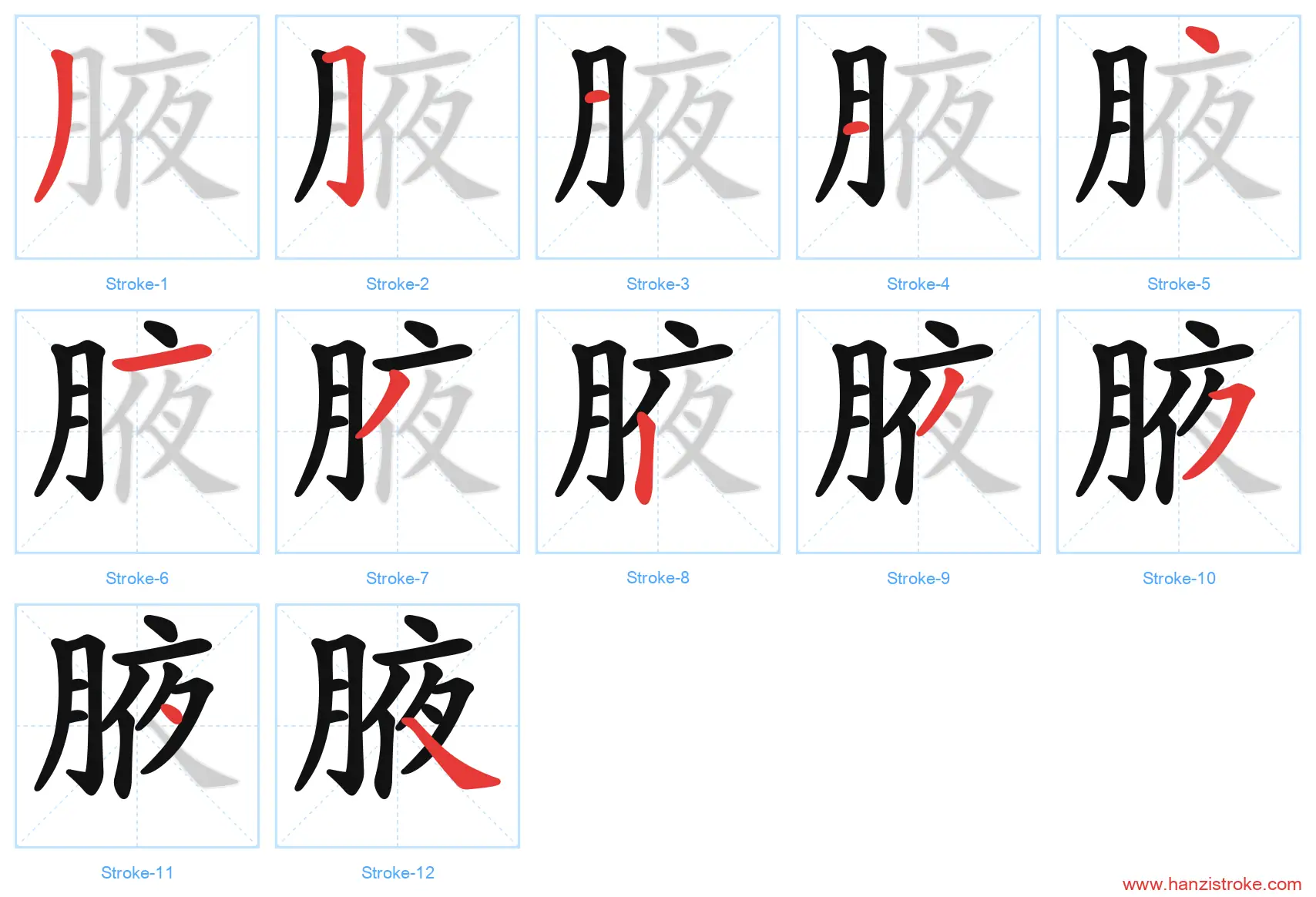 腋 stroke order diagram