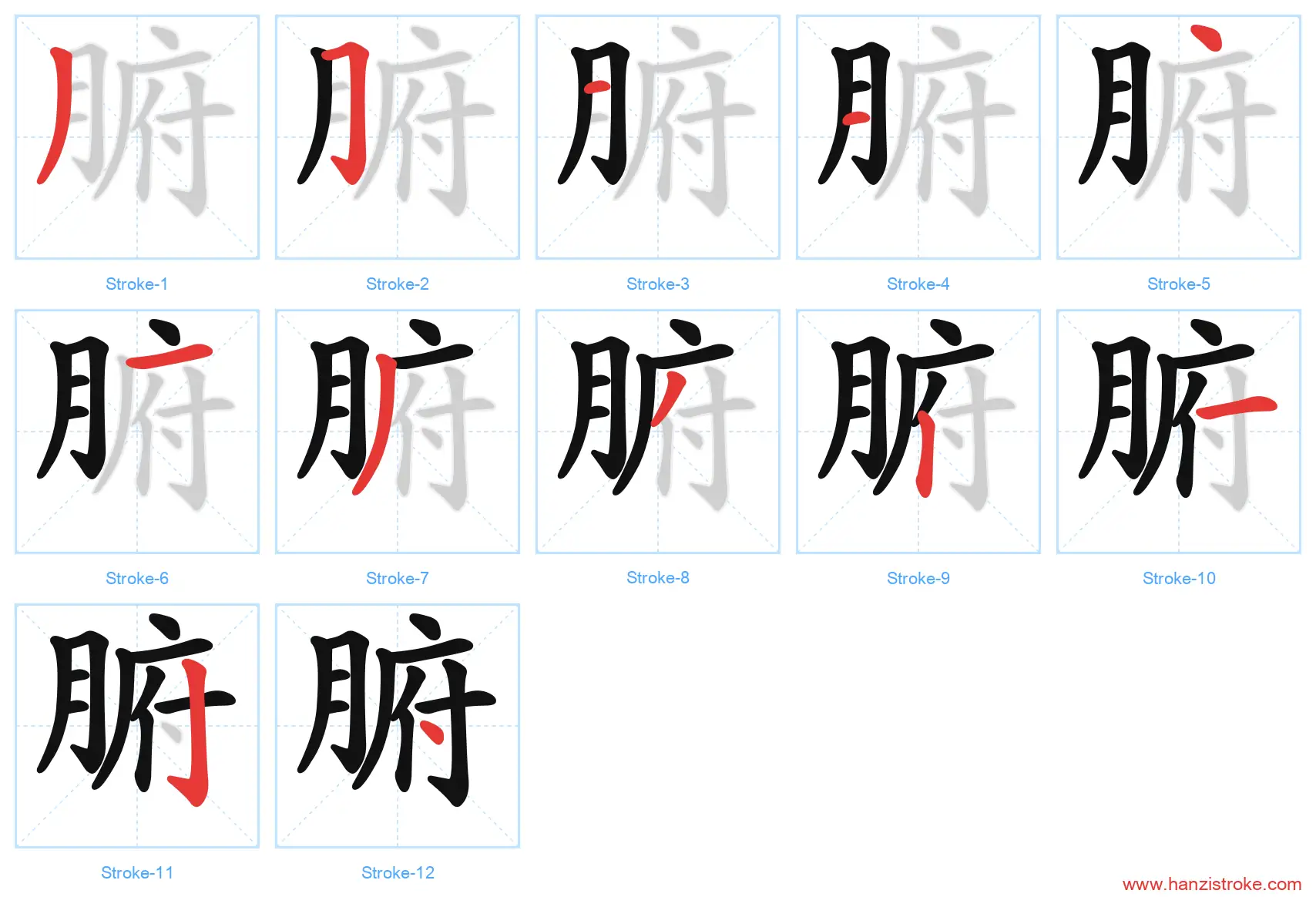腑 stroke order diagram