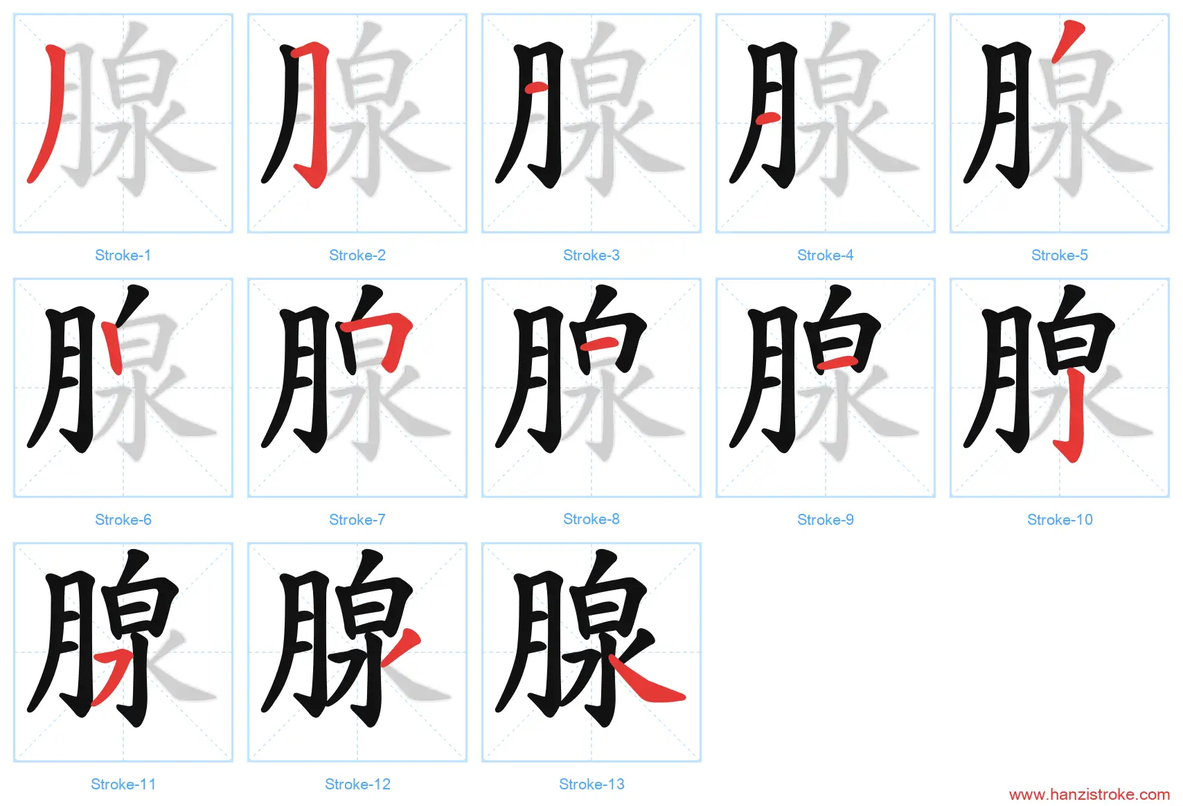 腺 stroke order diagram