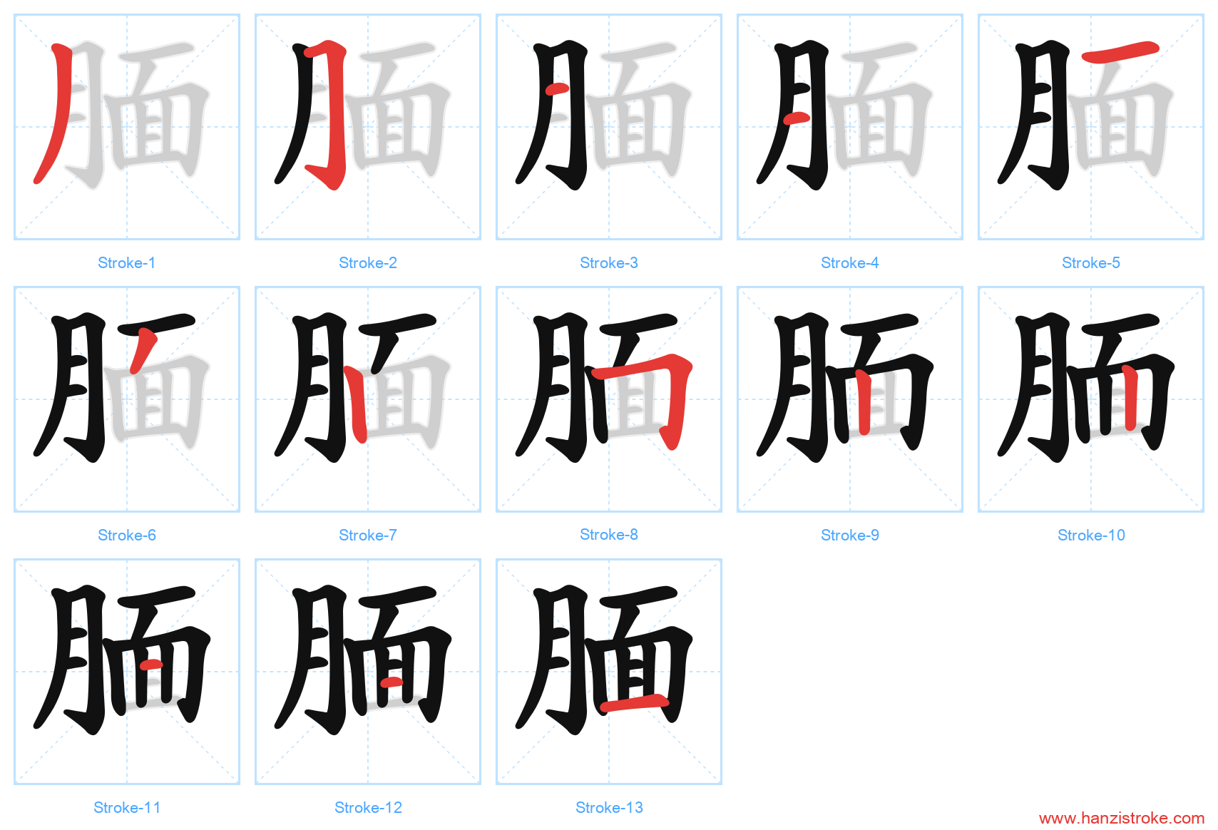 腼 stroke order diagram