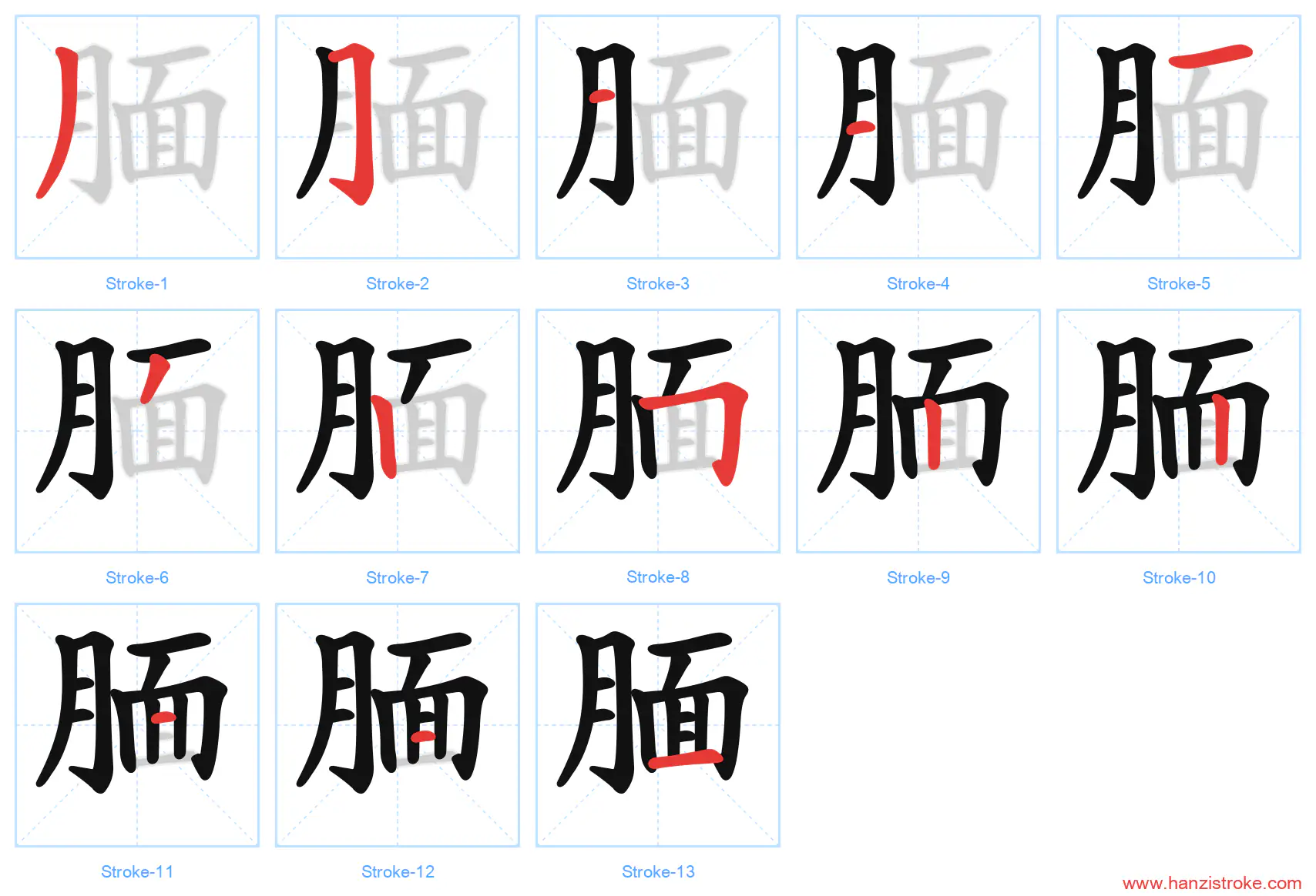腼 stroke order diagram