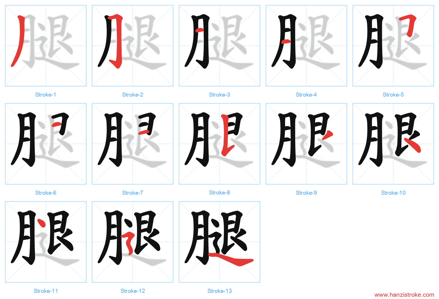 腿 stroke order diagram