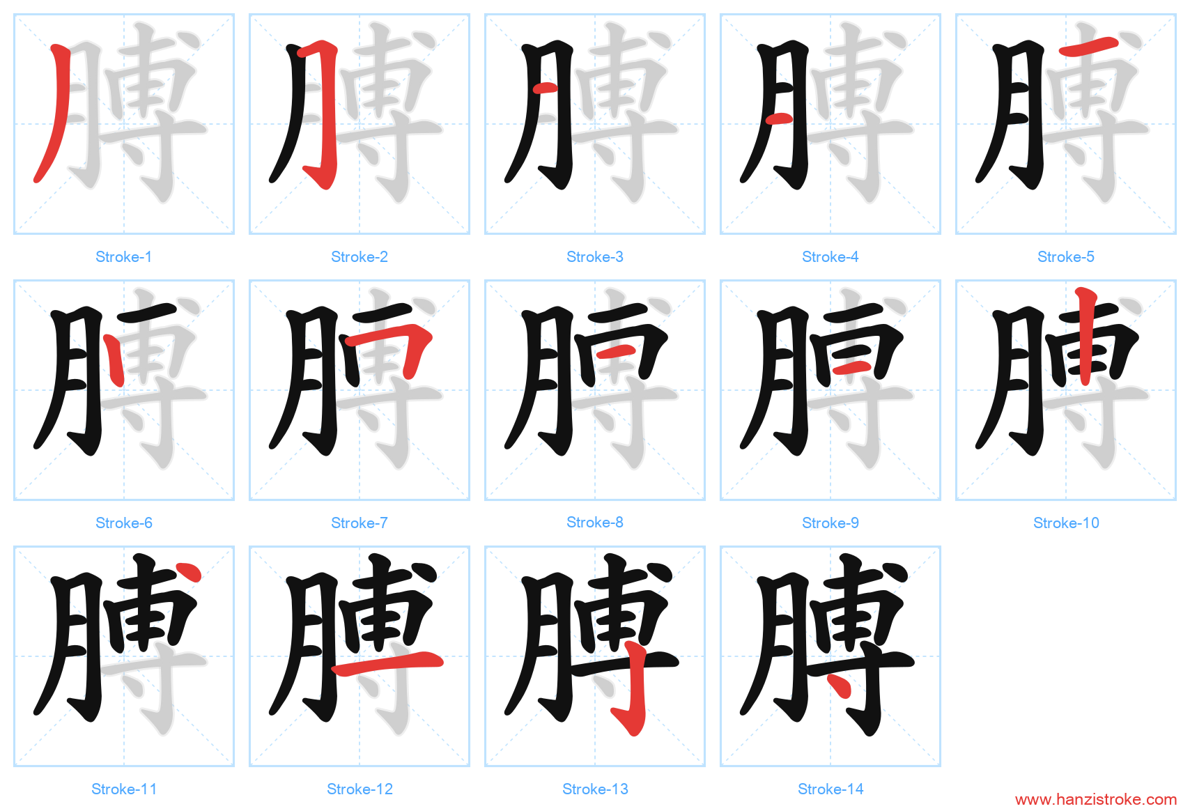 膊 stroke order diagram