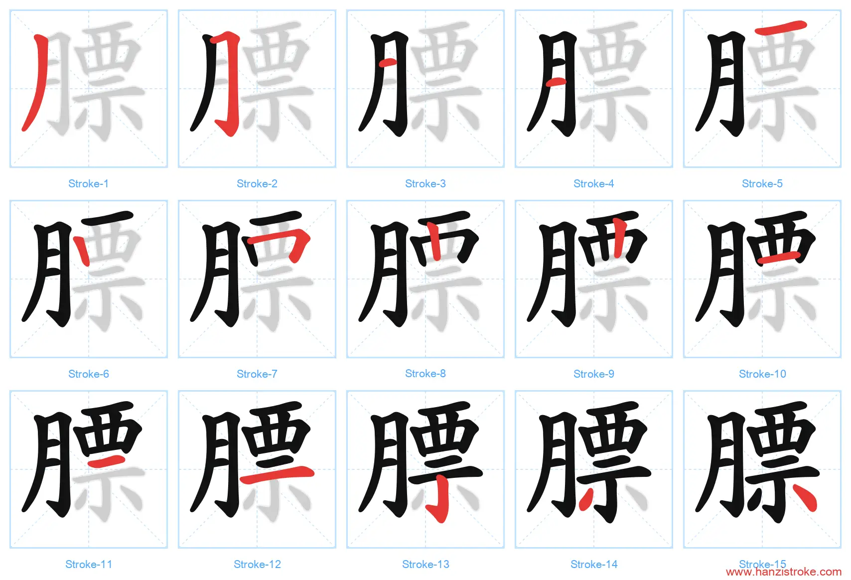 膘 stroke order diagram