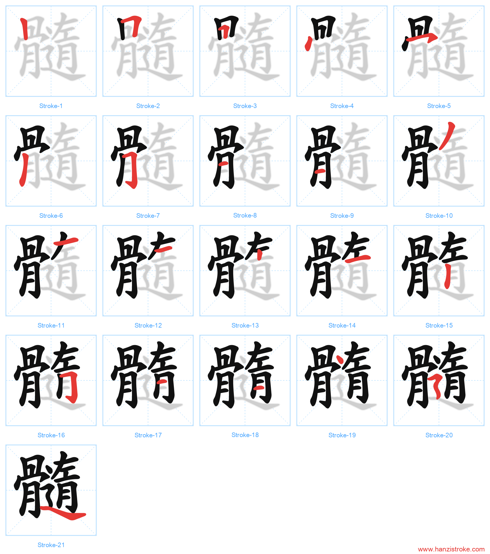 髓 stroke order diagram