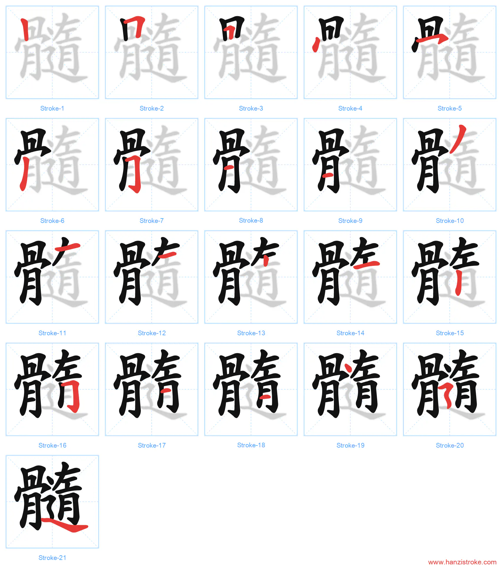髓 stroke order diagram