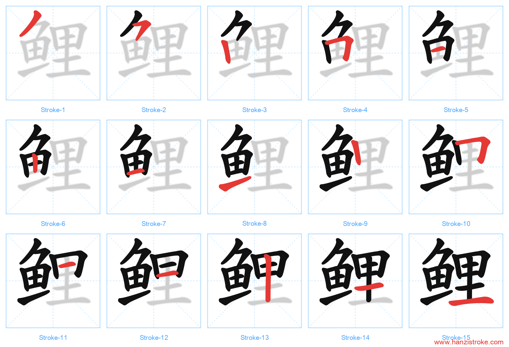 鲤 stroke order diagram