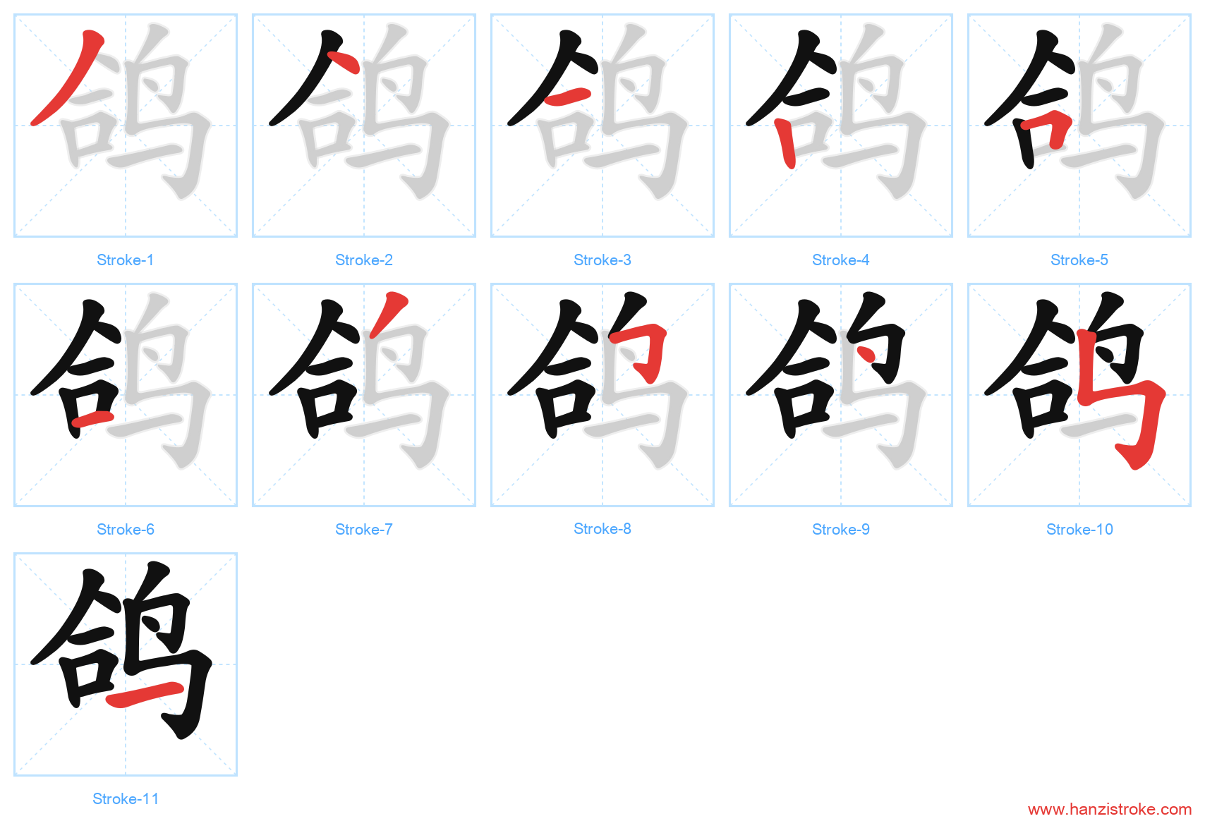 鸽 stroke order diagram
